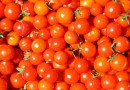 Las 4 mejores formas de disfrutar del tomate